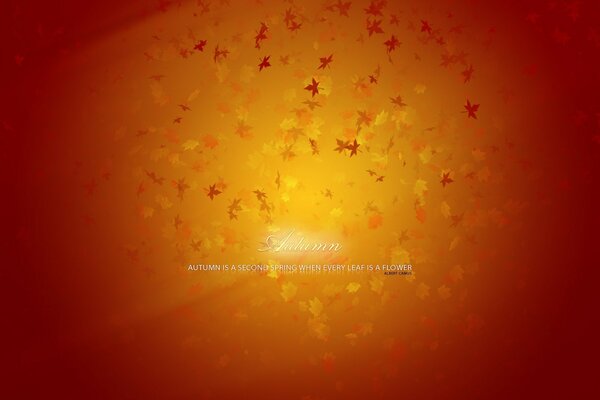 Maple leaves on an orange background