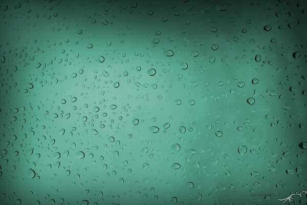 Water drops on green glass