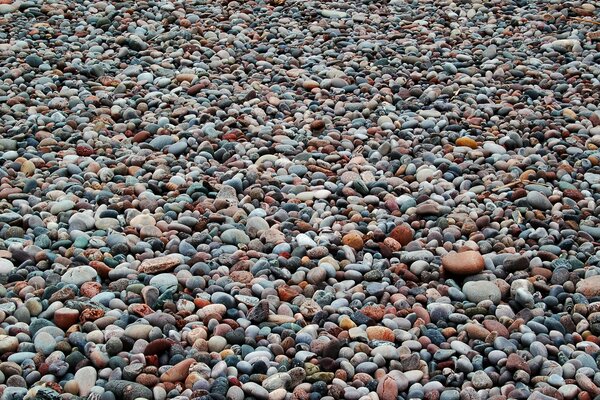 The sea shore with a stone coating