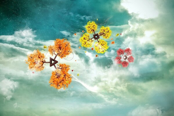 Fiori diversi su uno sfondo di cielo e nuvole