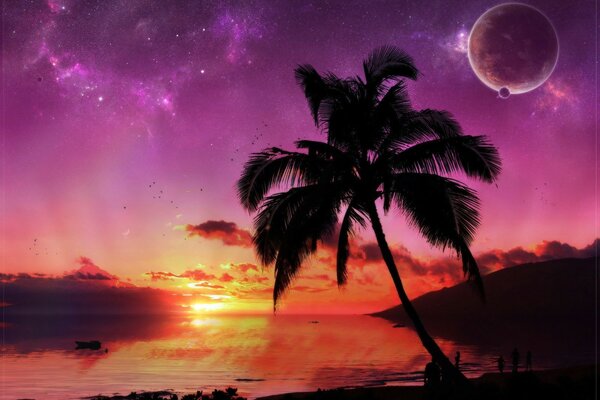 Красивый закат на пляже с пальмами