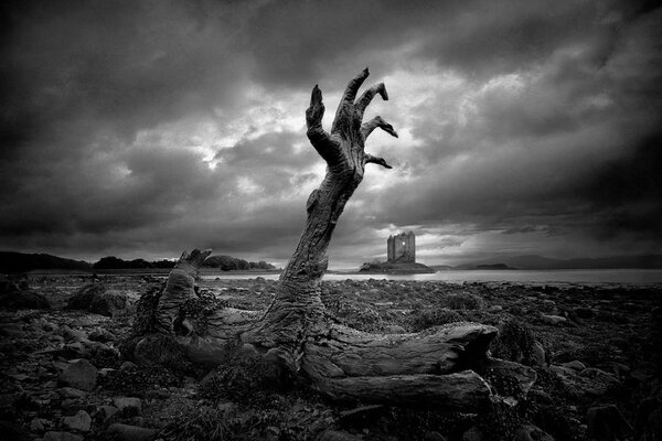 Wooden hand on black and white background