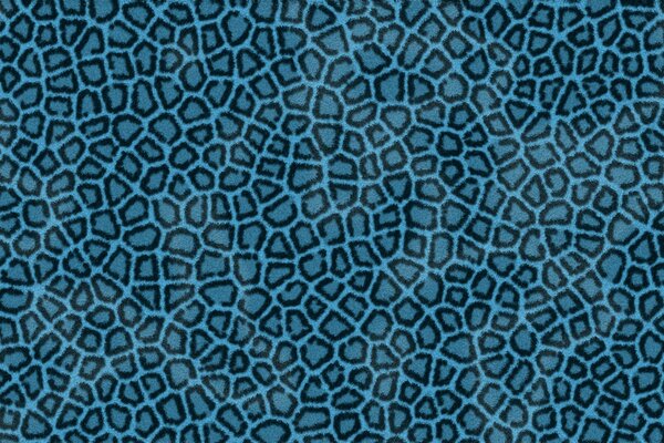 Blue leopard skin. Carpet