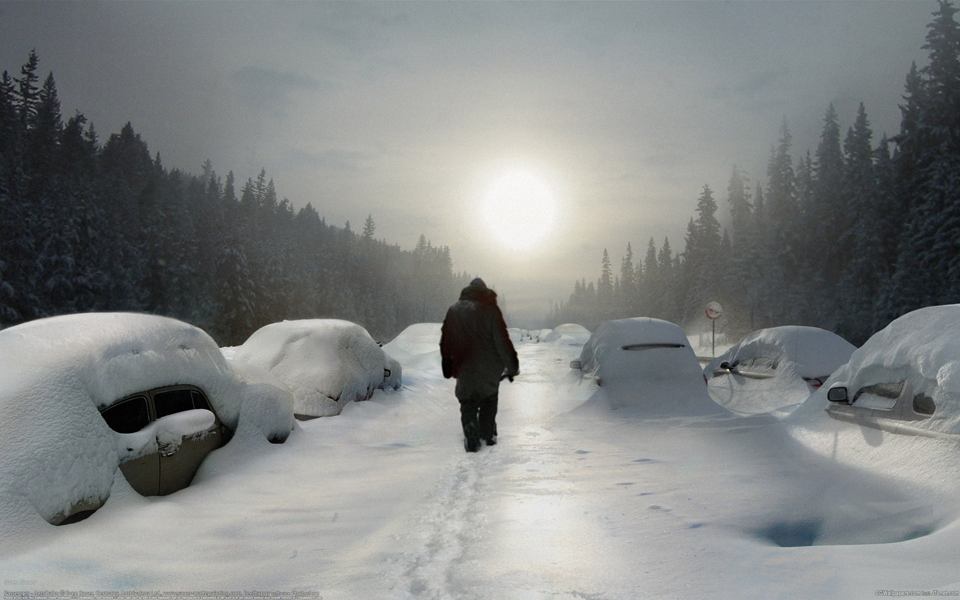 inverno auto strada neve foresta