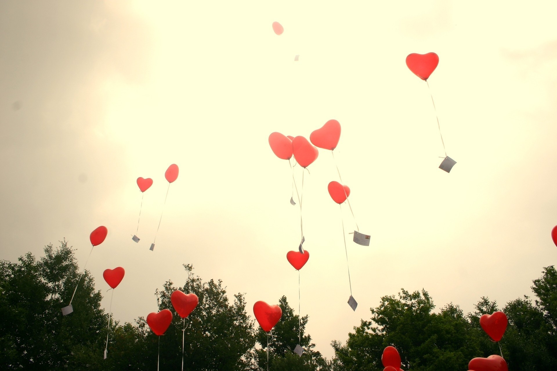 love romance balloon heart