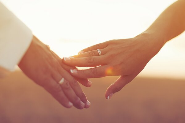 Hombres y mujeres par de manos con anillos de boda