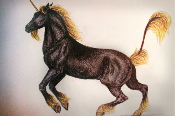 Matite unicorno splendidamente disegnate