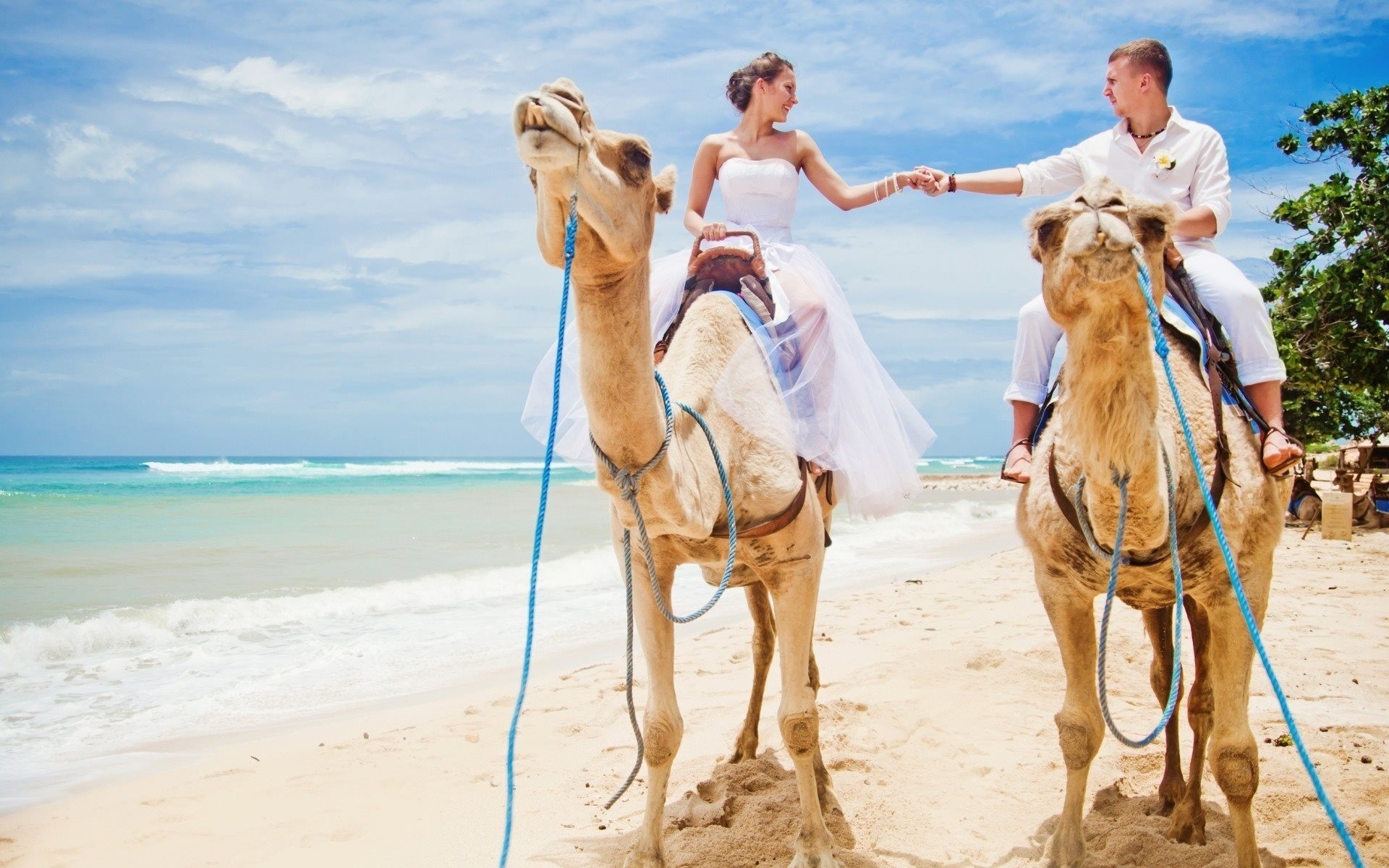 beach girl camels love dress wedding man