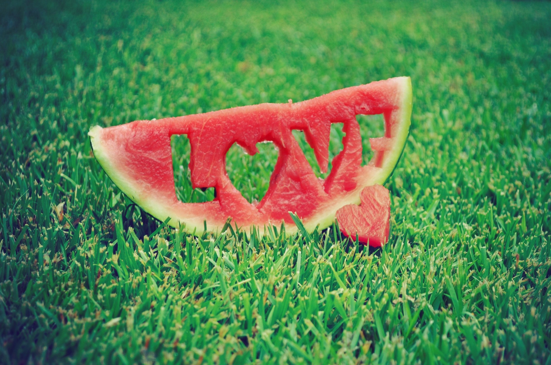 gras wassermelone inschrift rasen liebe