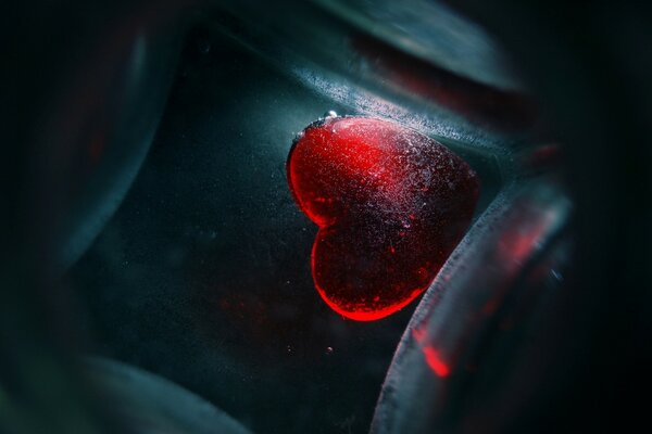Corazón rojo helado en hielo