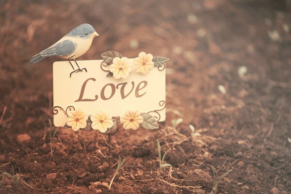 A chick with a grateful postcard