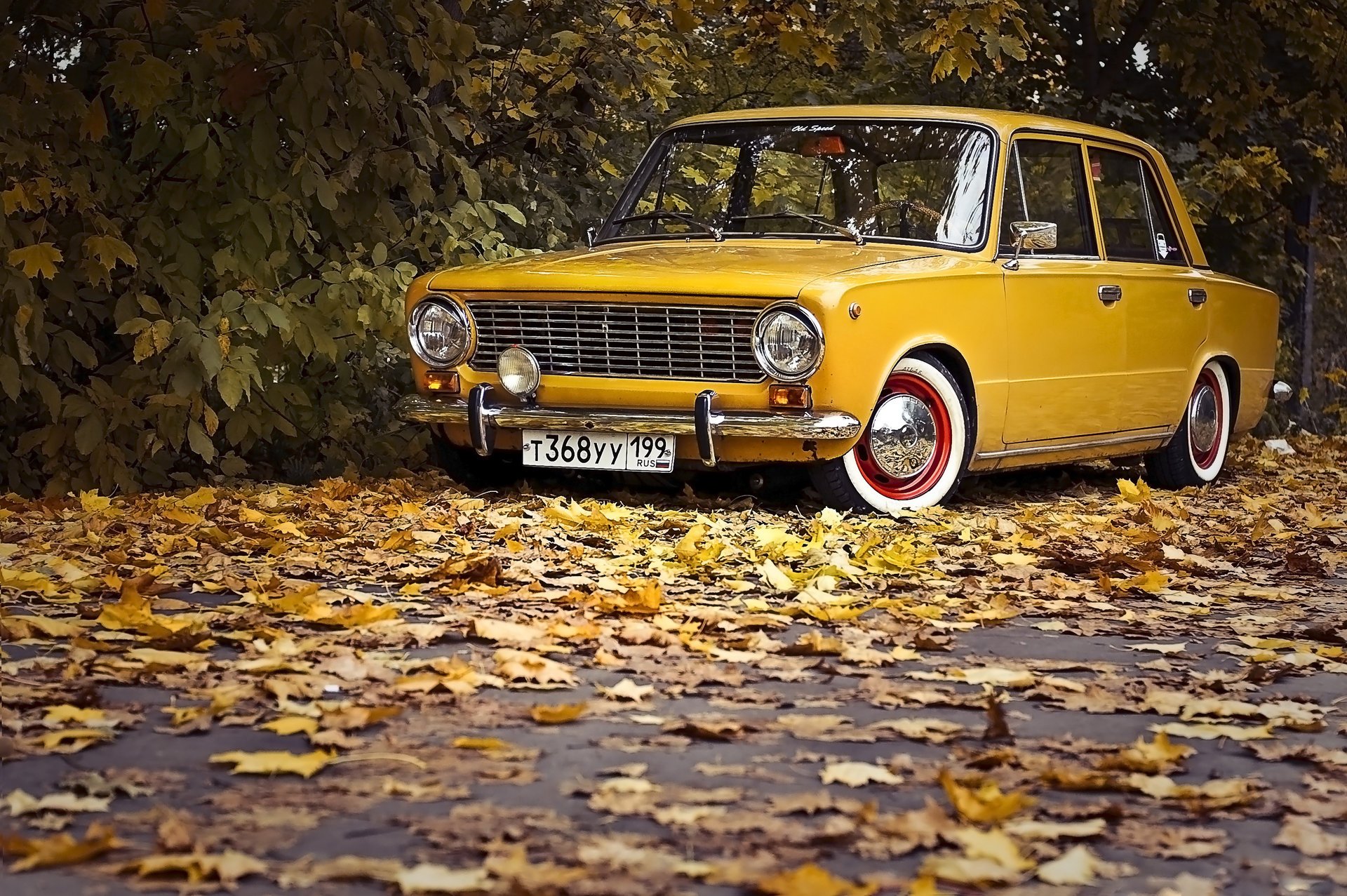 vaz zhiguli auto 2101 jesień liście klasyczny retro