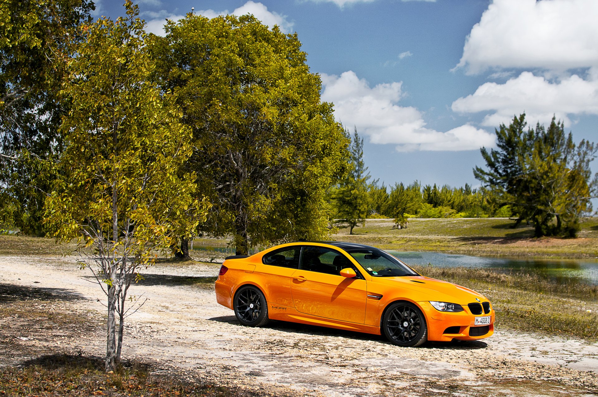 bmw m3 arbres bmw nature coupé