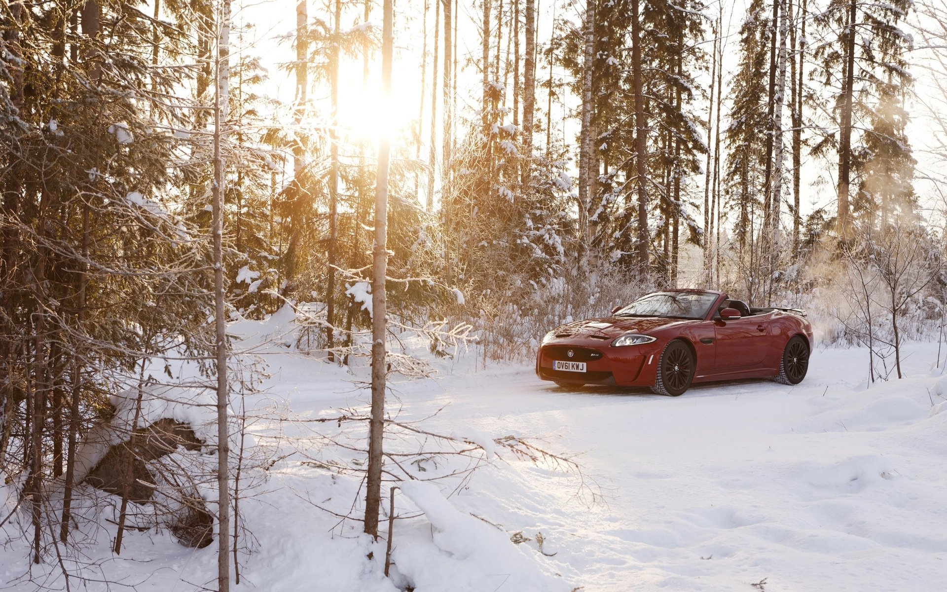 jaguar xkr-s convertible jaguar red winter snow forest sun