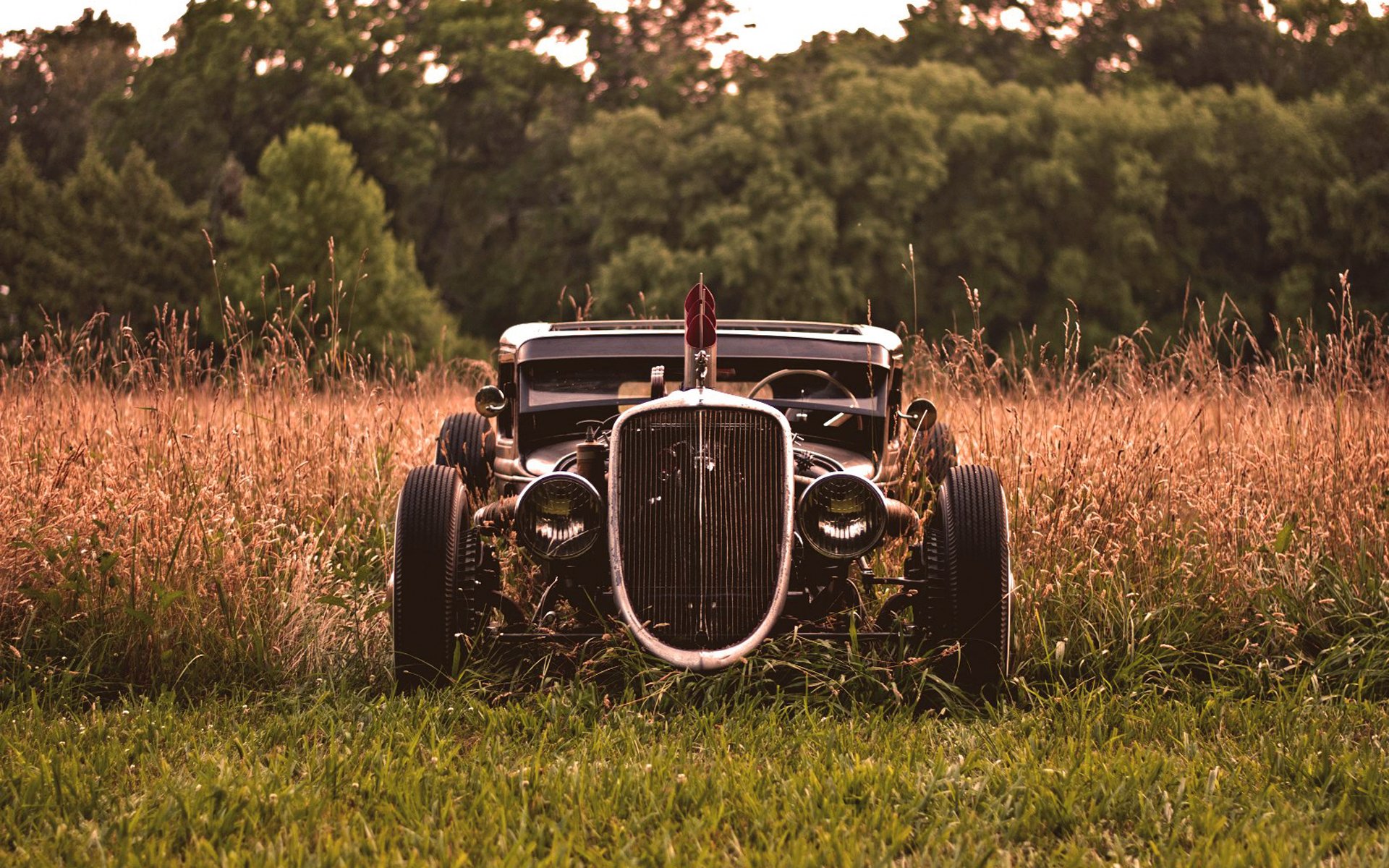 hot rod nach maß autowalls hot rod gras