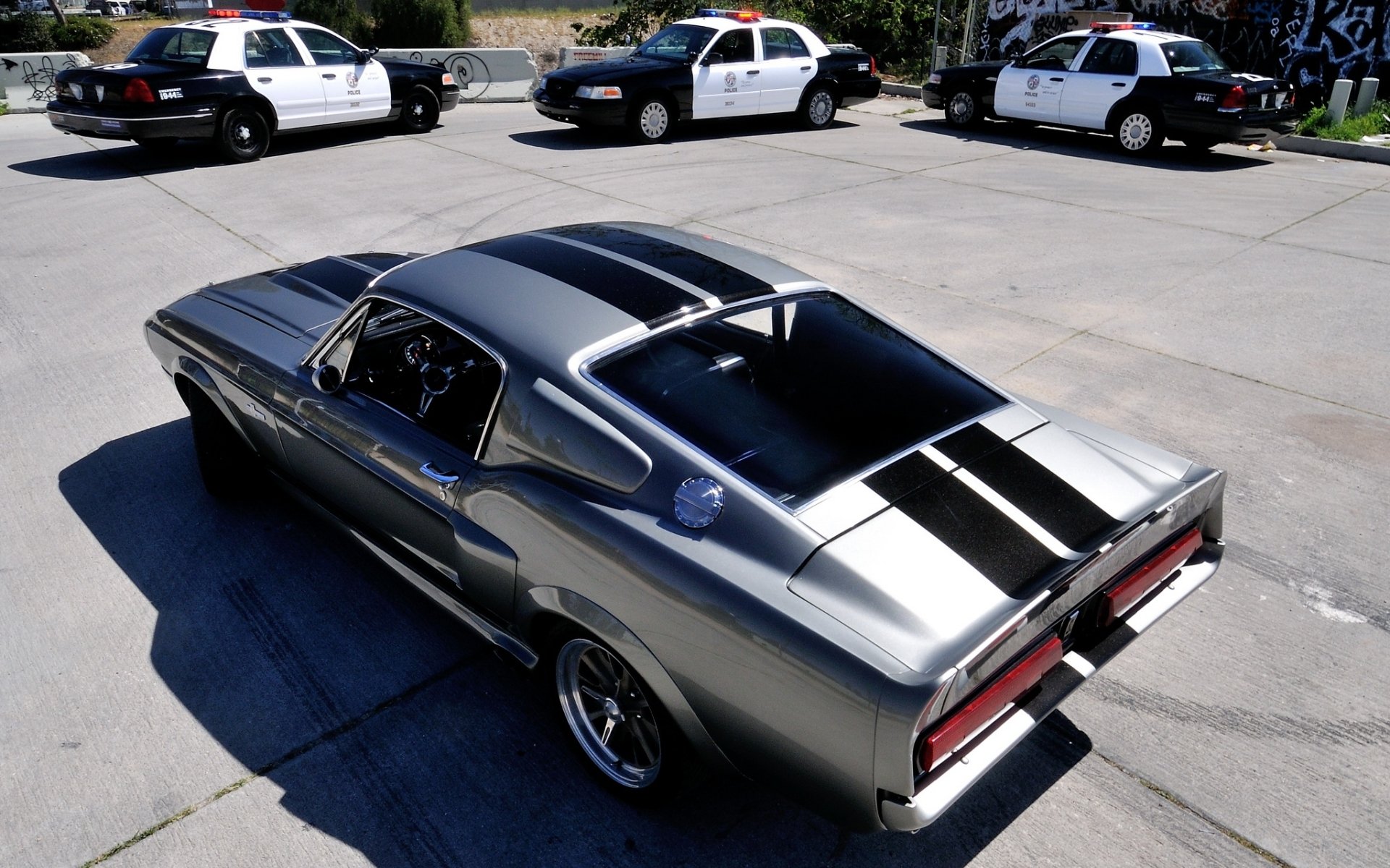 ford mustang gt500 eleanor eleanor muscle car muscle car rear view police