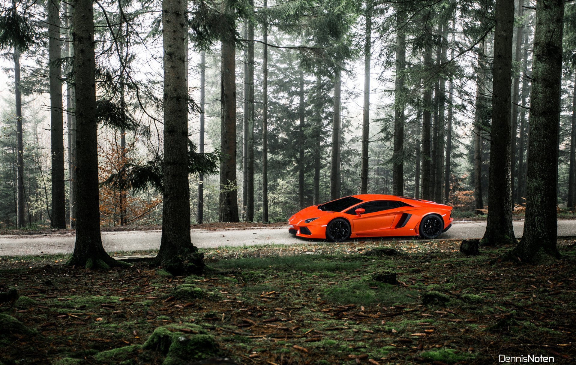 lamborghini aventador wald licht