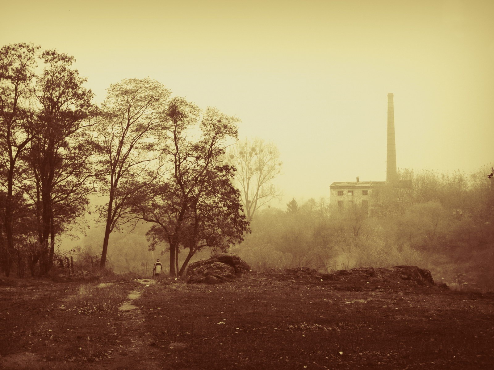 trompette automne brouillard sépia ville