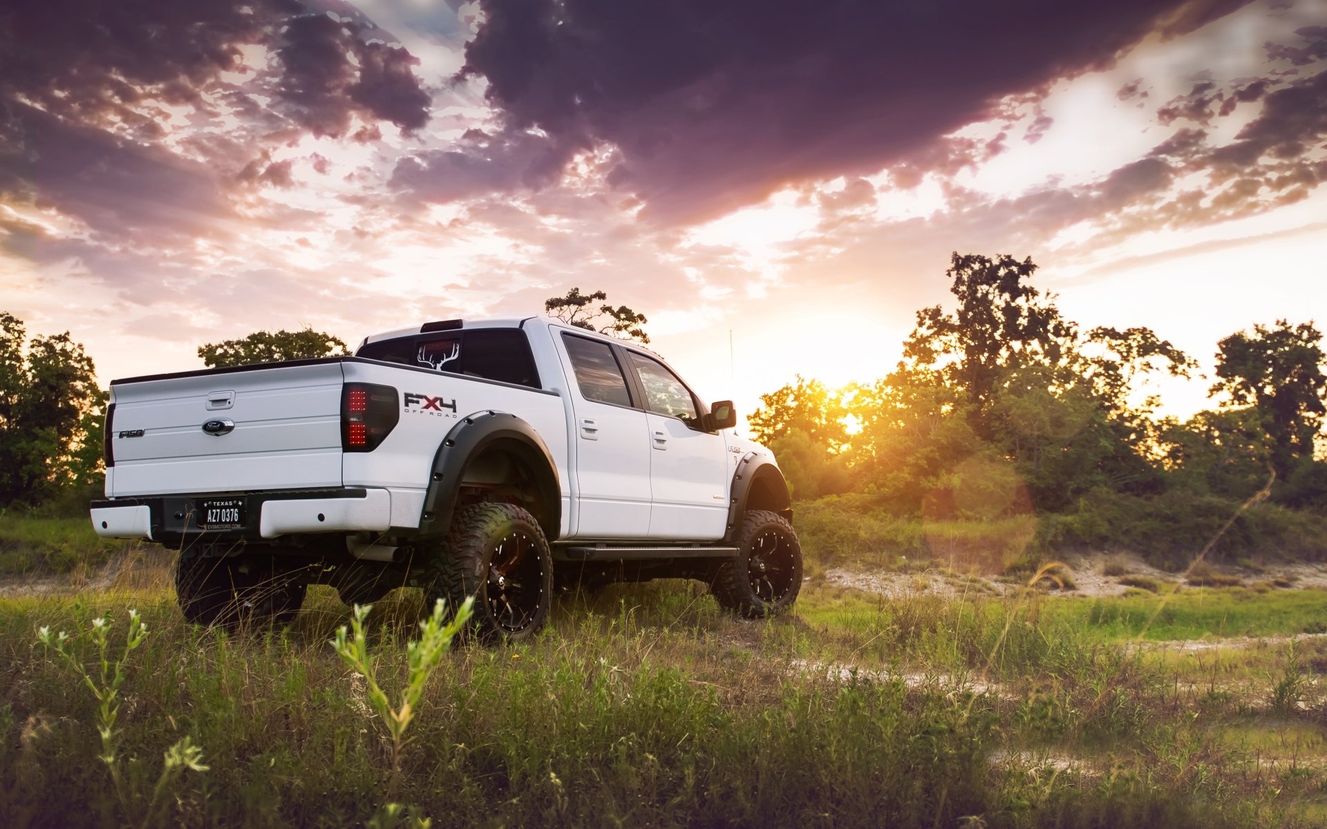 ford f-150 f-150 jeep pickup suv weiß rückansicht tuning gras bäume himmel sonne