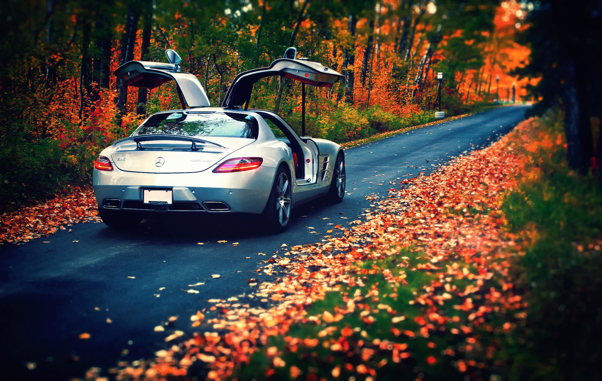 mercedes-benz sls amg plateado trasero otoño hojas