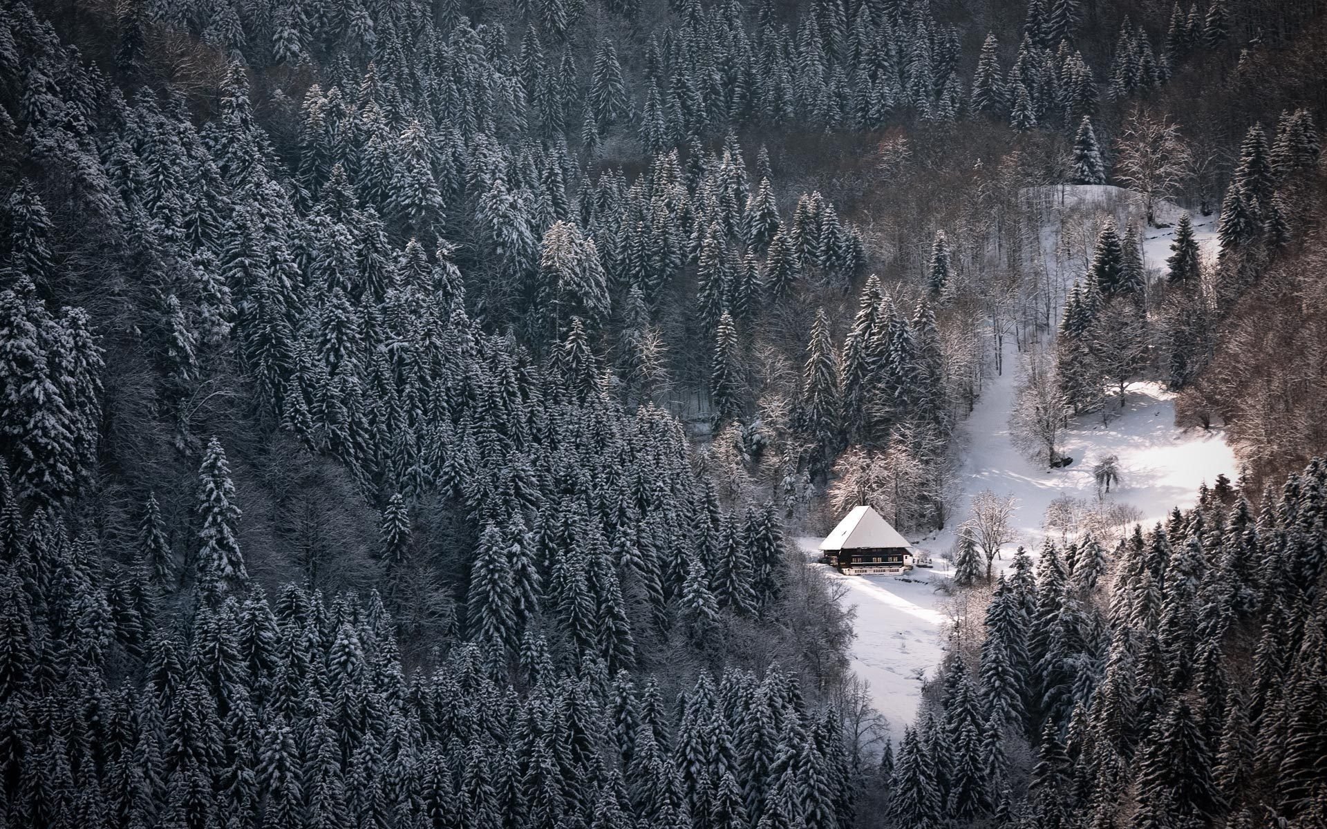 nature winter house forest snow