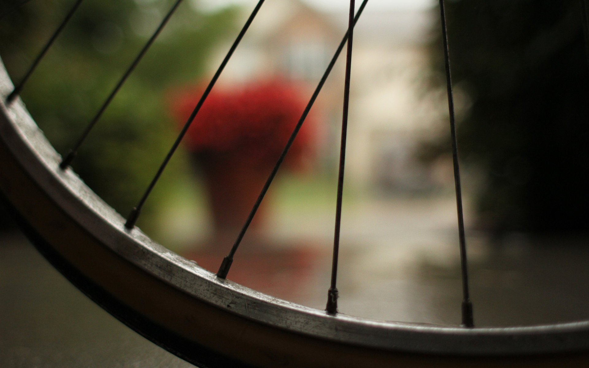 bicycle macro vélo macro effet bokeh roue rayons