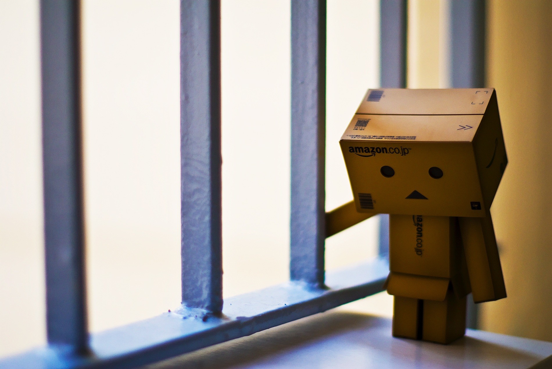 danboard danbo box roboter spielzeug traurigkeit einsamkeit käfig garten