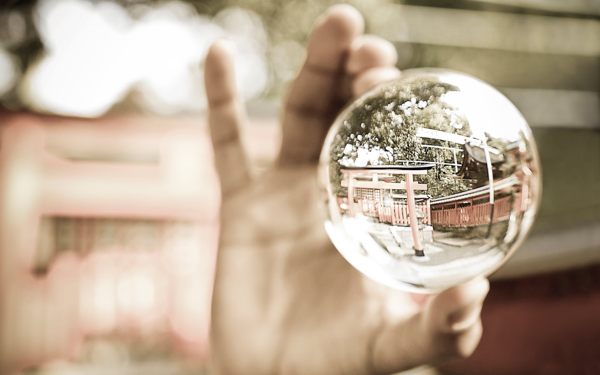 ball ball reflection hand makro reflection glass hand glass