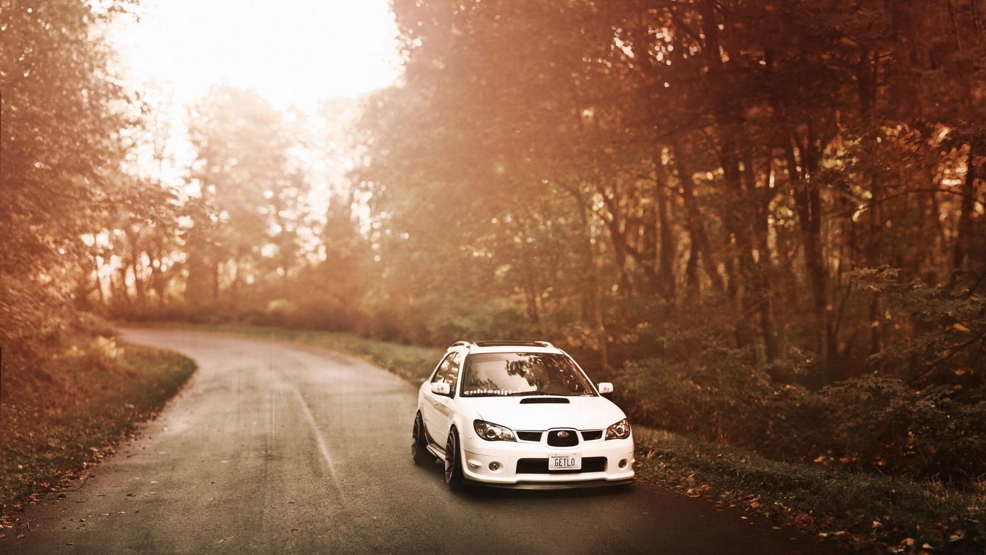 ubaru impreza subaru straße wald