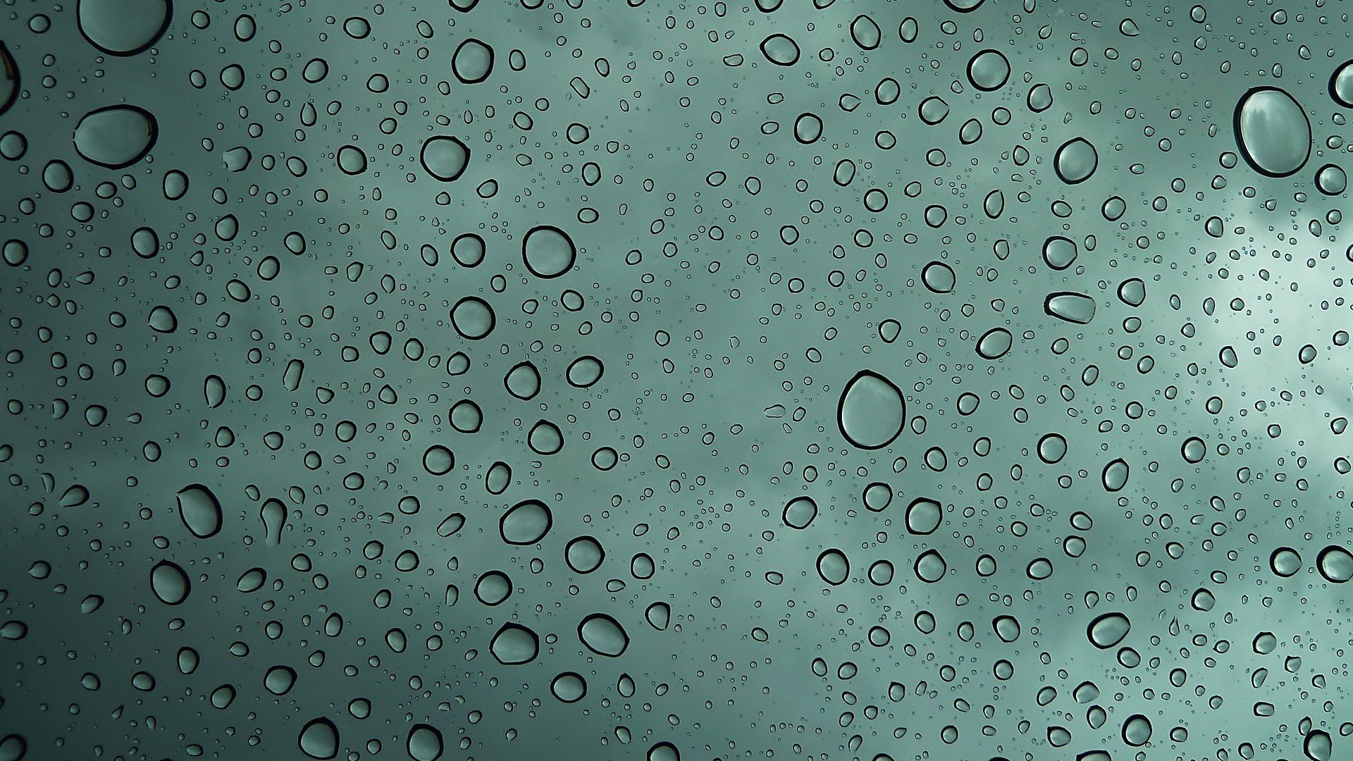 drops water rain