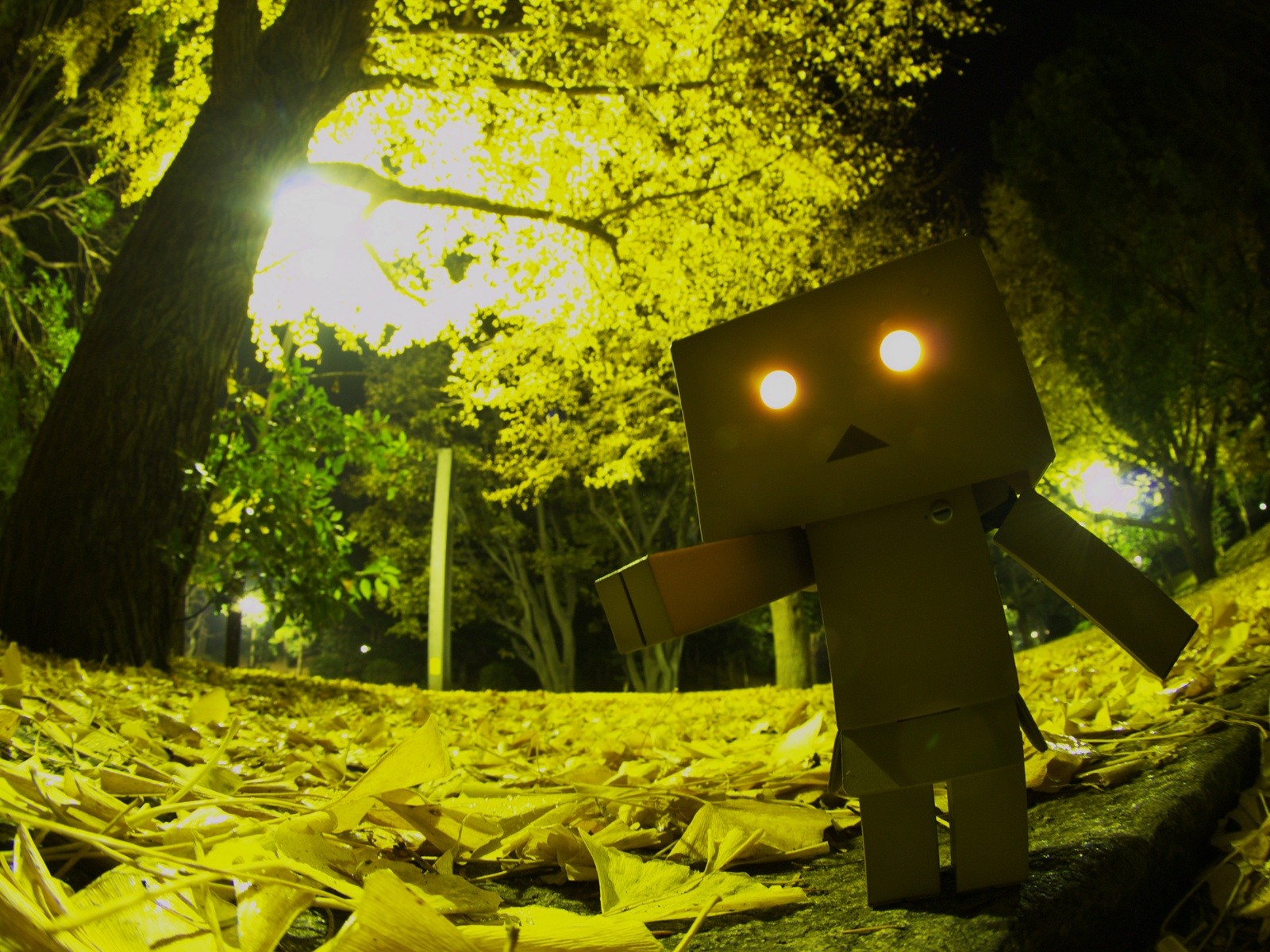 danboard danbo box roboter spielzeug park licht augen horror laub bäume