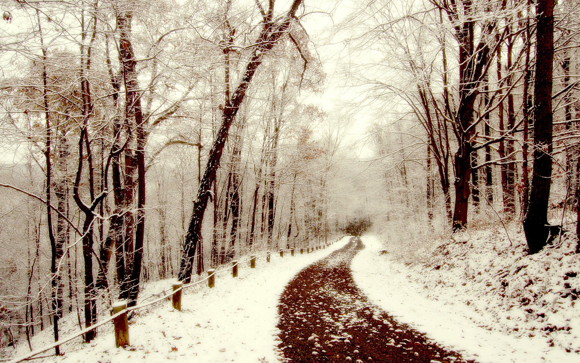 nieve camino invierno paseo