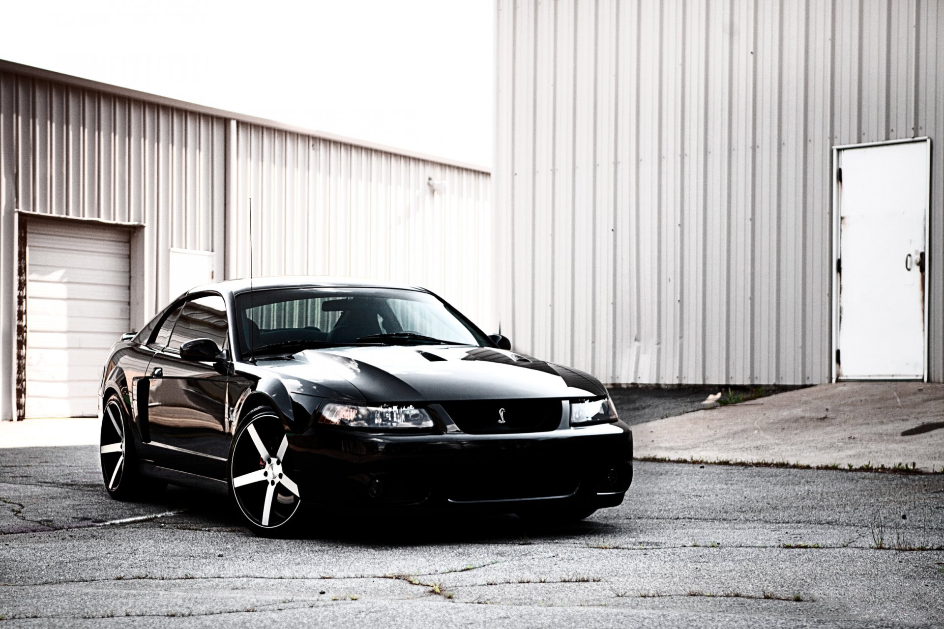 mustang shelby hangar nero ford cobra auto sportiva