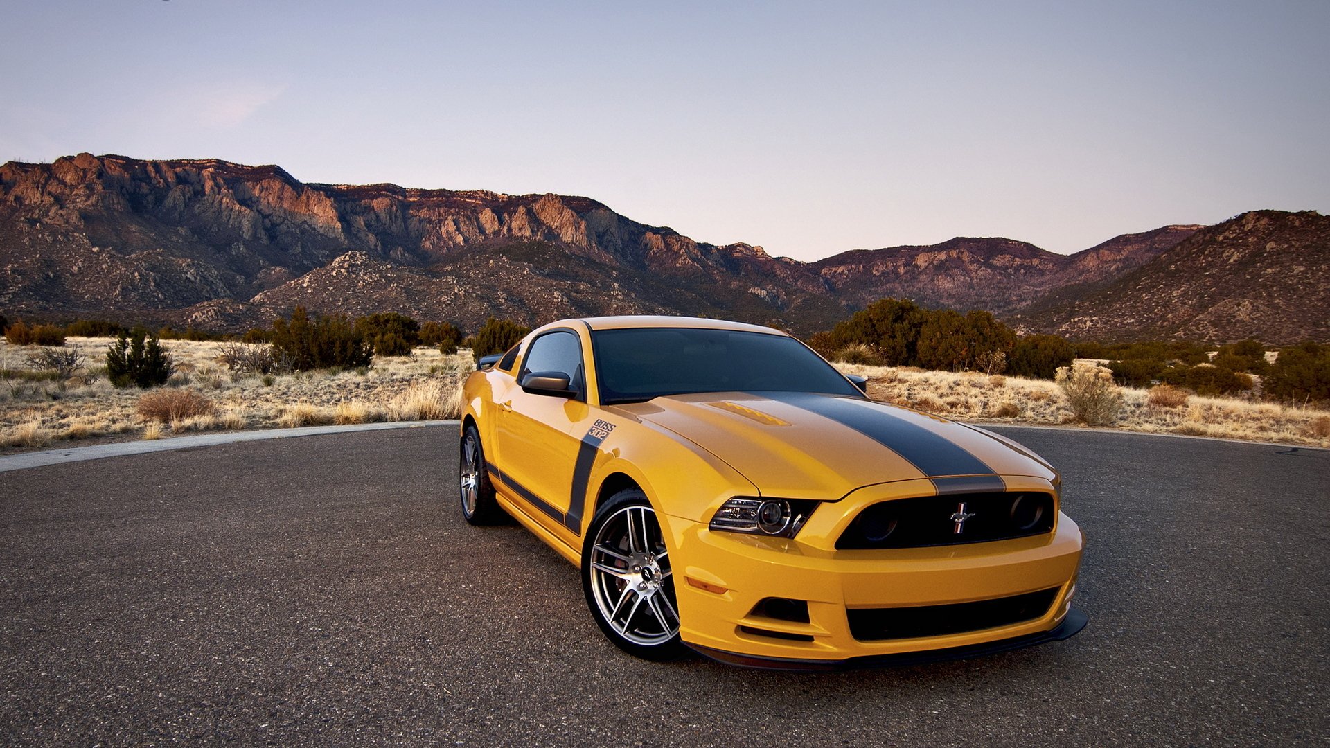 ford mustang boss 302 ford autoempapelado coche