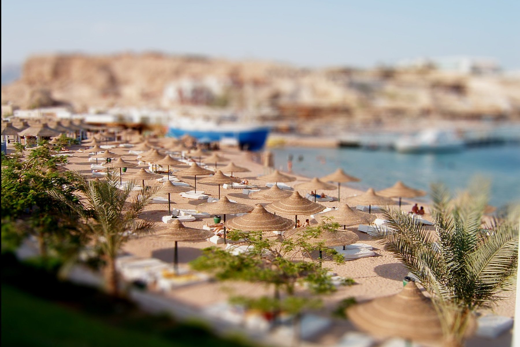 kreacja makro tilt-shift creativing