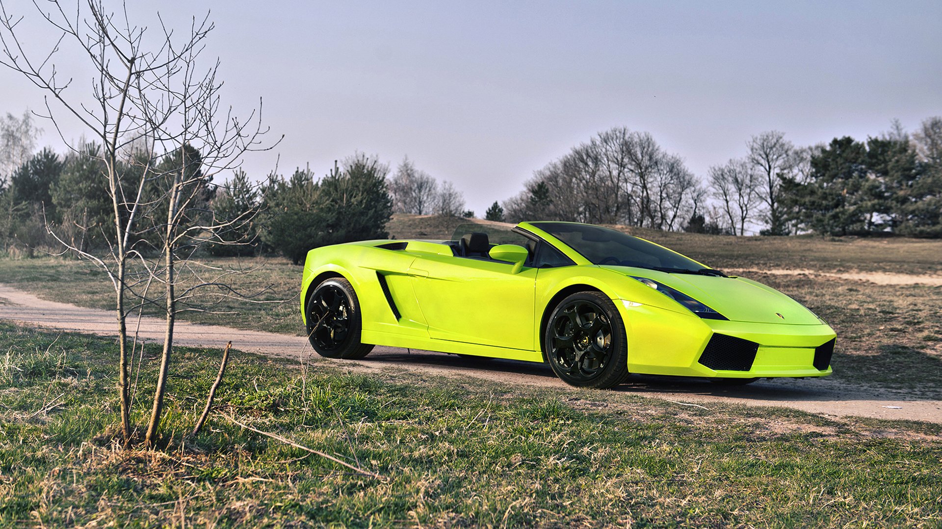 lamborghini gallardo spyder lamborghini vert clair nature