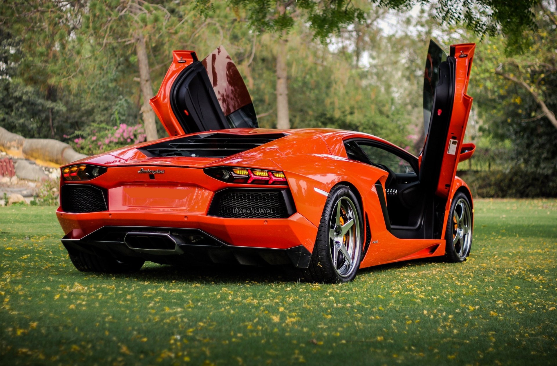 lamborghini aventador lp700-4 оранжевый ламборгини авентадор задок дверцы гильотина газон деревья