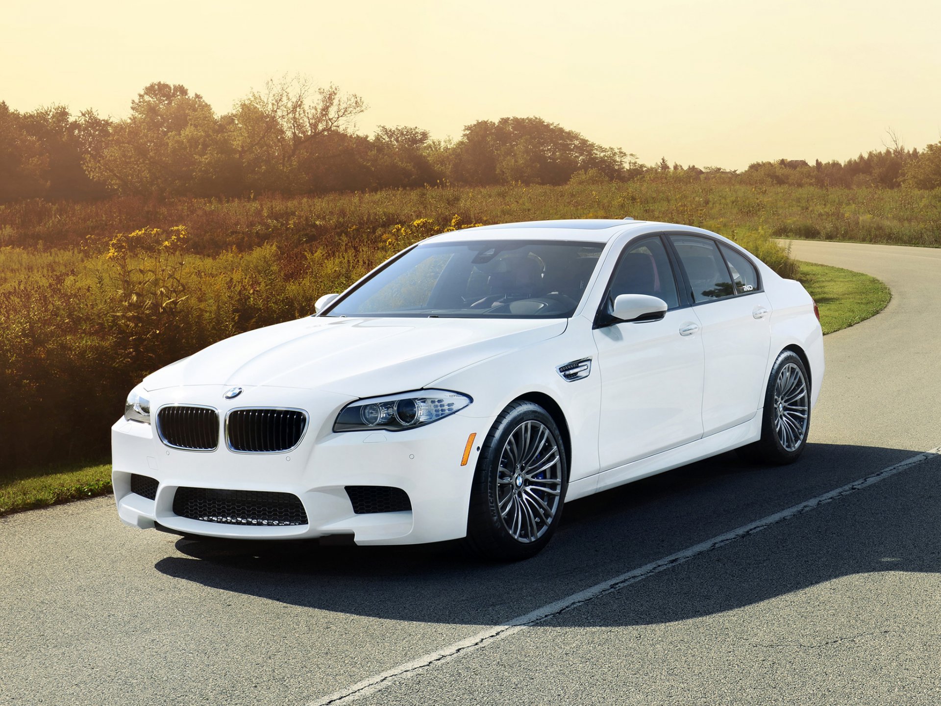 ind bmw m5 bmw sedan white front tuning road bushes background