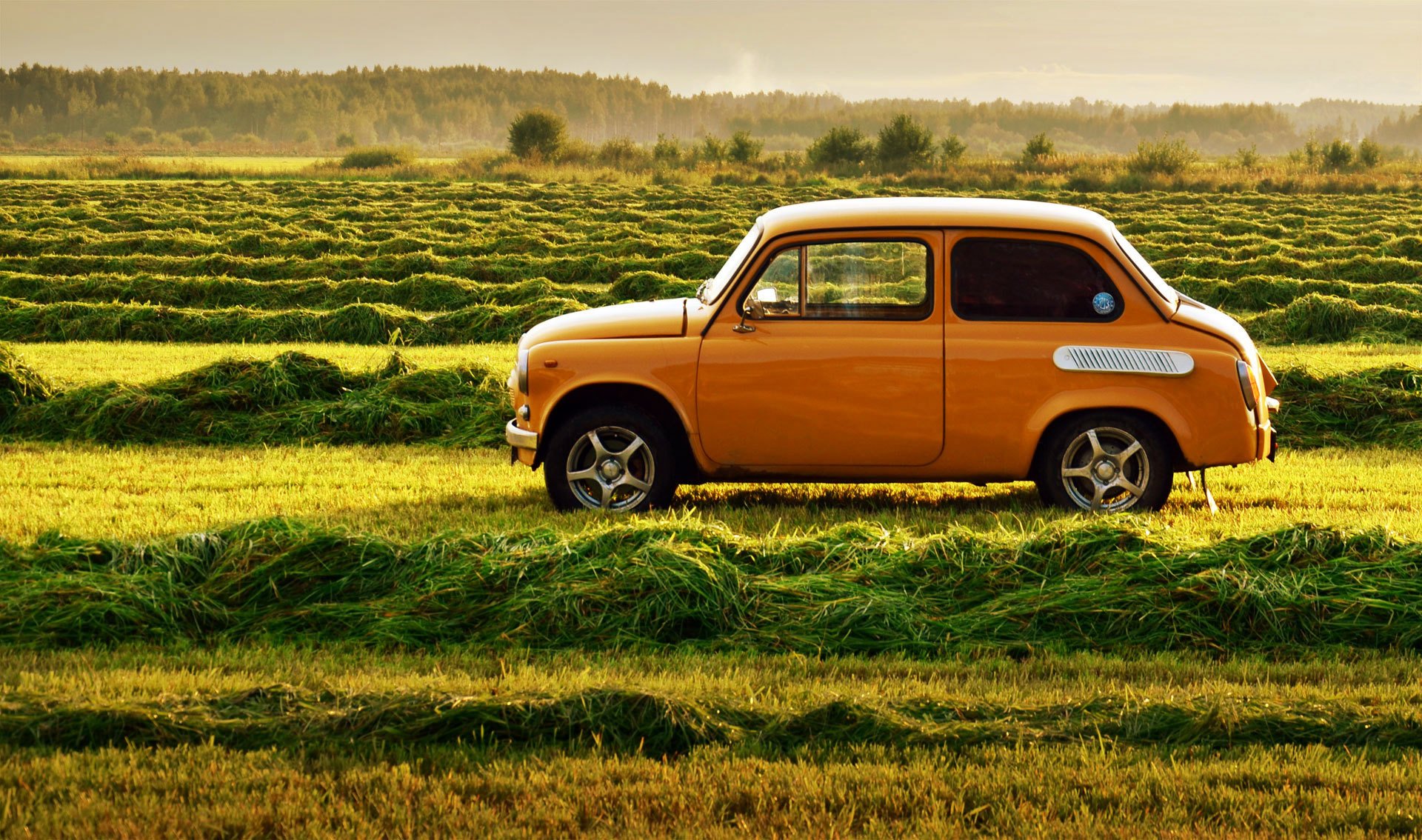 zaz zaporozhets retro udssr gras auto natur