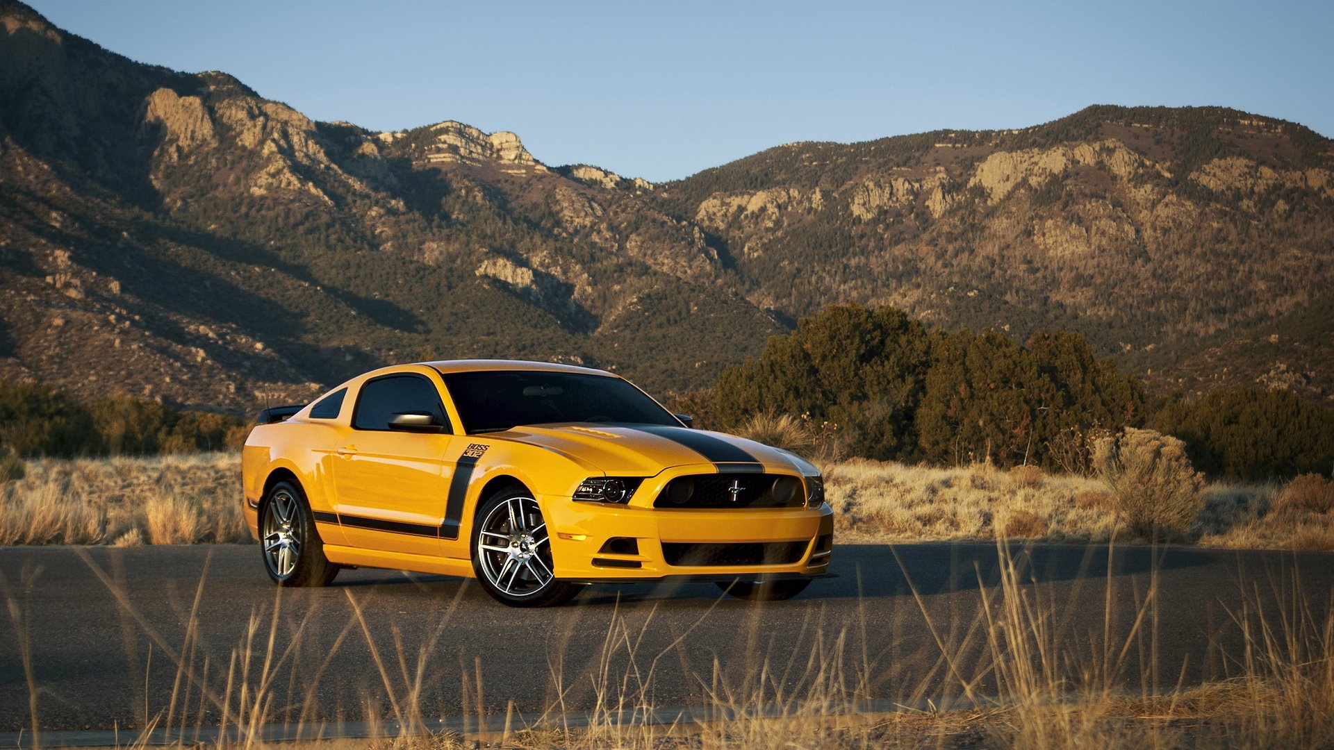 ford mustang boss 302 ford avtooboi muscle car