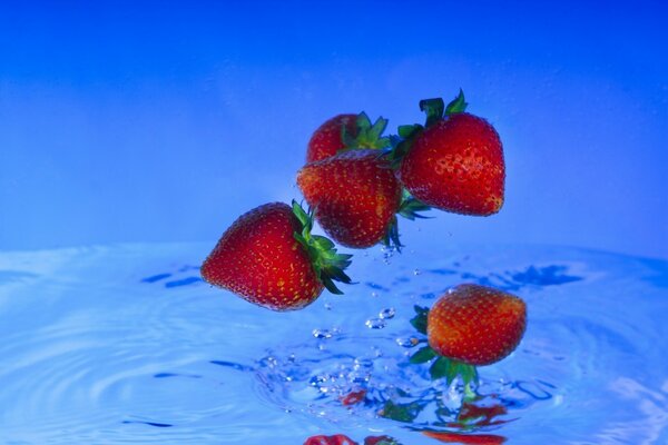 Baies de fraises sur l eau