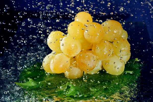 Grappolo d uva in gocce di rugiada che cadono