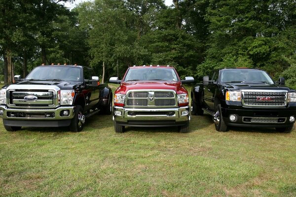 Tres coches Ford estacionados en la hierba verde en el fondo de los árboles