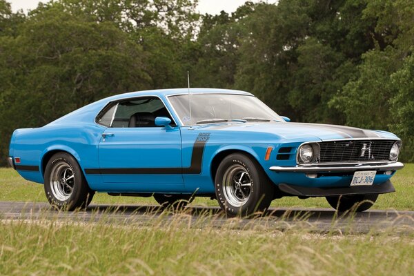 Ford Mustang su uno sfondo di foresta verde