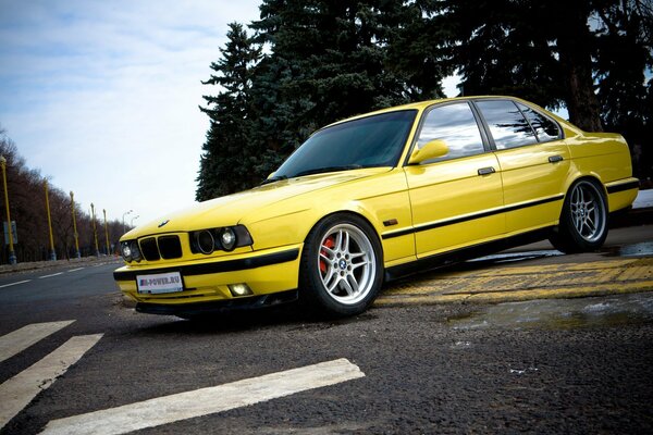 BMW five in yellow on a country highway