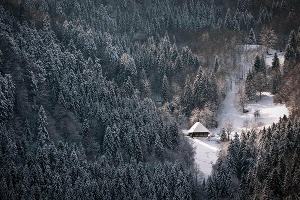 Casa solitaria nella foresta invernale