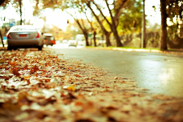 Die Herbststraße, auf der die Autos geparkt sind