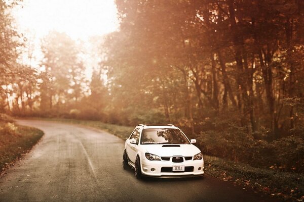 Subaru on a forest road