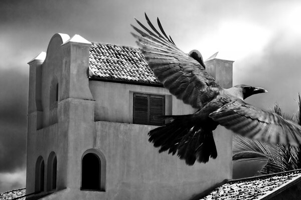 A bird flies past an old building