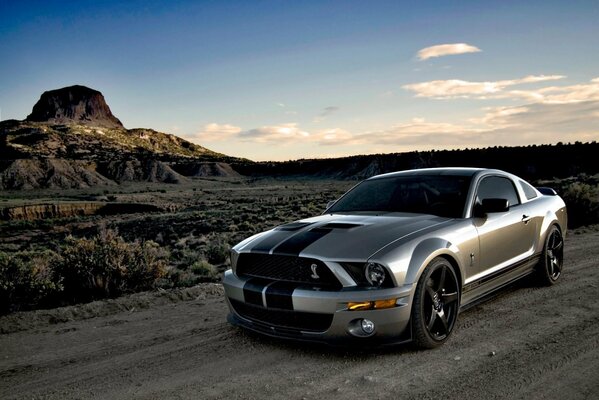 Elegante Mustang bajo el cielo azul de las carreteras del desierto